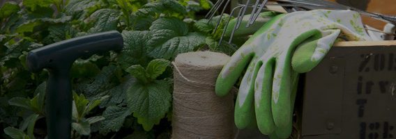 retail-garden-banner-2-1-opt-568×200 retail-garden-banner-2-1-opt-568x200